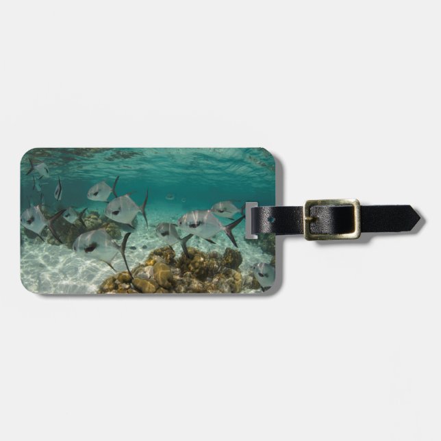 Skola med Permit-fisk Bagagebricka (Horisontell Framsida)