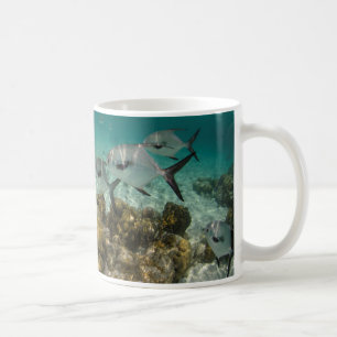 Skola med Permit-fisk Kaffemugg