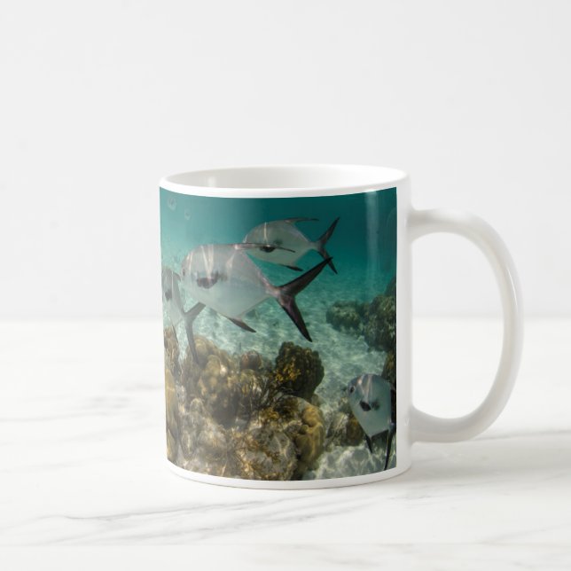 Skolan för tillåtna fiskar kaffemugg (Höger)