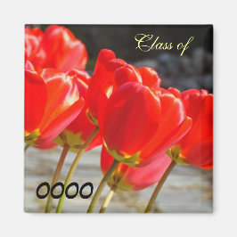 Skolår magnets Röda Tulpan Blommor Magnet
