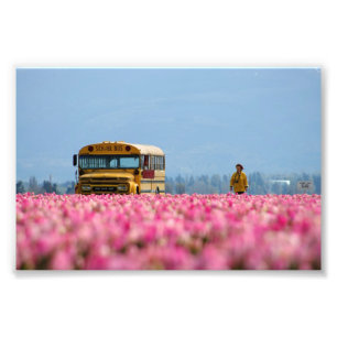 Skolbuss magisk buss fototryck