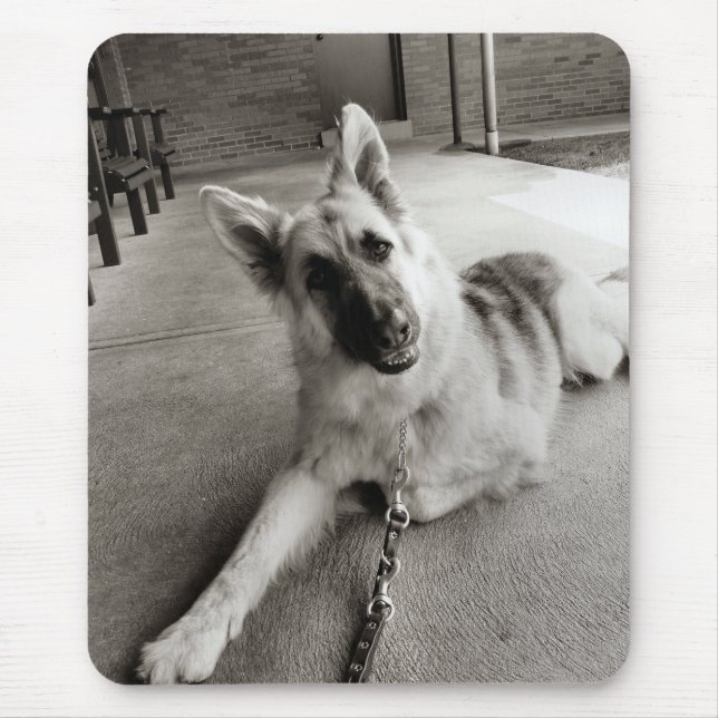 Skoldagar Musmatta (Framsidan)