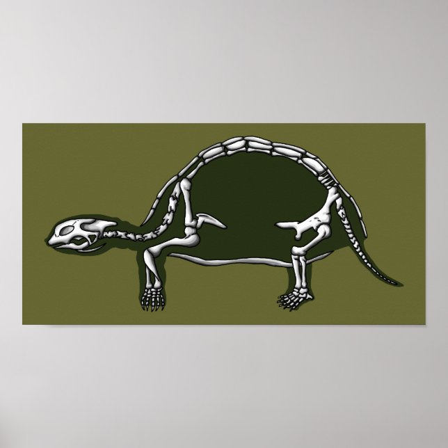 sköldkörtelskelett poster (Framsidan)