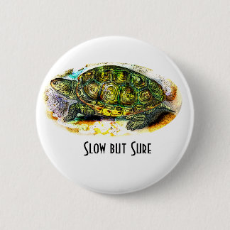 sköldpadda för diamondbackTerrapin från Knapp