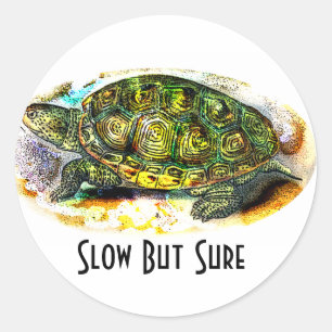 sköldpadda för diamondbackTerrapin från Runt Klistermärke