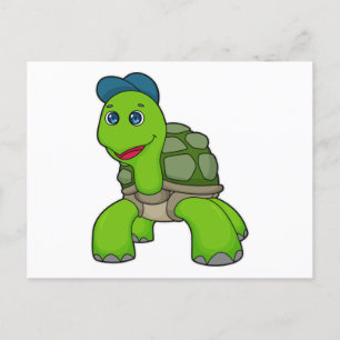Sköldpadda Hatt Vykort