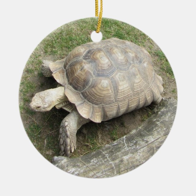 Sköldpadda Julgransprydnad Keramik (Framsidan)