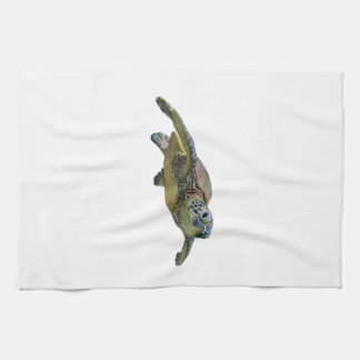 Sköldpadda Kopiera Kopiera Kopiera Kopiera Kopiera Kökshandduk