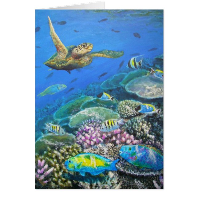 sköldpadda med parrotfishen OBS kort (Framsidan)