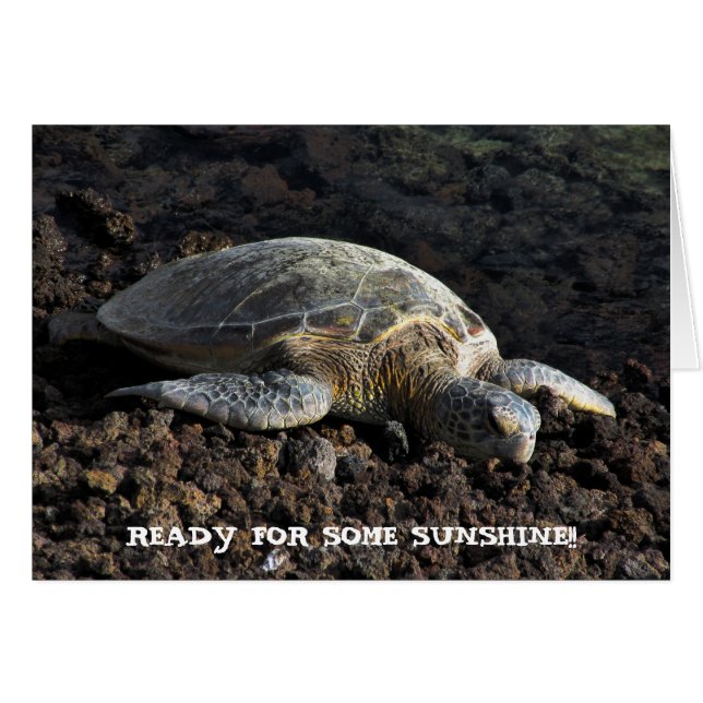 Sköldpadda på lavaen hälsningskort (Framsidan Horizontal)