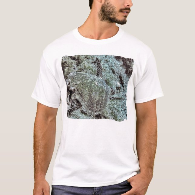 Sköldpadda springa tee shirt (Framsida)