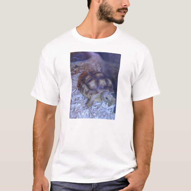 Sköldpadda Tee (Framsida)