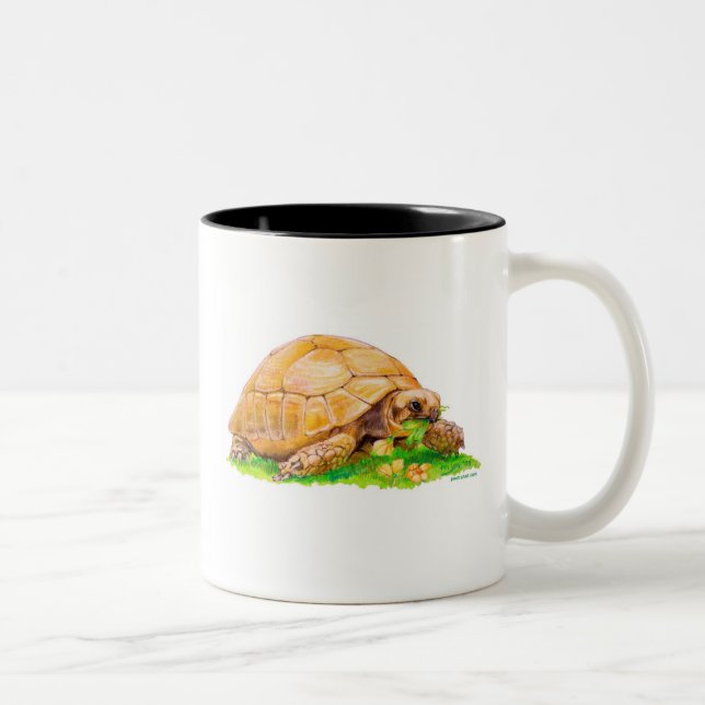 Sköldpadda Två-Tonad Mugg (Höger)
