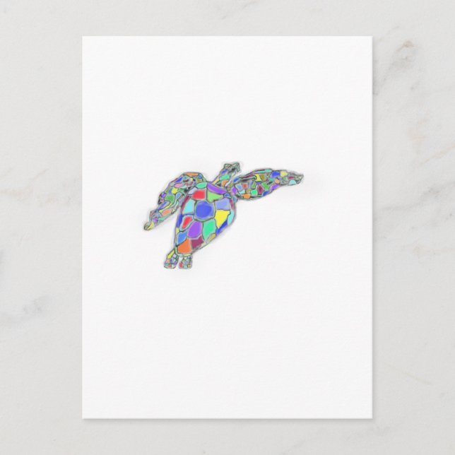 sköldpadda vykort (Framsida)