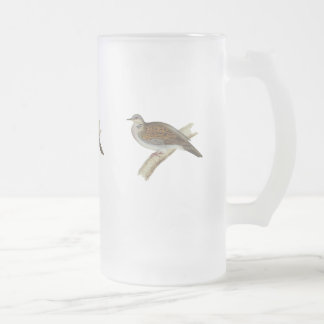 Sköldpaddaduva Frostat Ölglas