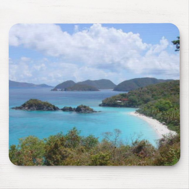 Sköldpaddafjärd Musmatta (Framsidan)