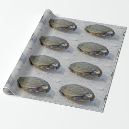 Sköldpaddafoto Presentpapper