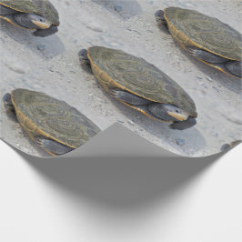 Sköldpaddafoto Presentpapper