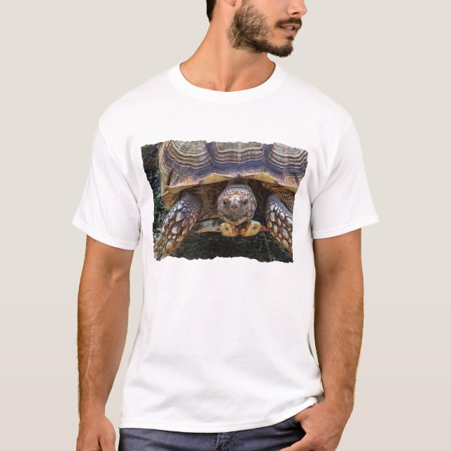 Sköldpaddafoto T-shirt (Framsida)