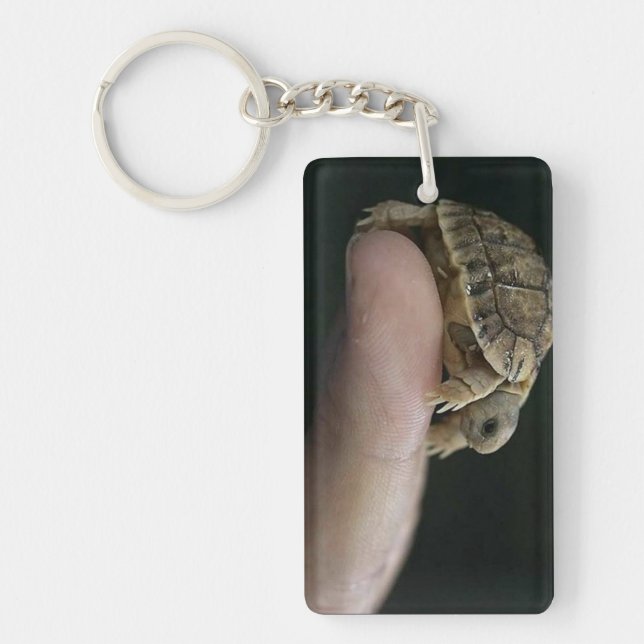 Sköldpaddakeychain Nyckelring (Framsidan)