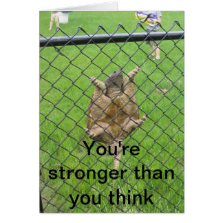 Sköldpaddaklättringstaket Hälsningskort