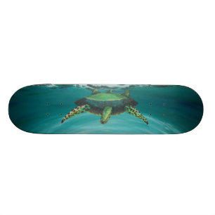 Sköldpaddakorsning Mini Skateboard Bräda 18,7 Cm