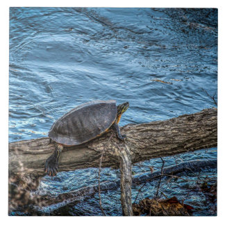 Sköldpaddan på en logga belägger med tegel kakelplatta