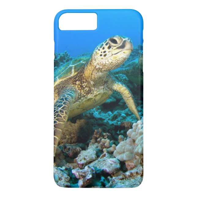 Sköldpaddan parar Case-Mate iPhone skal (Baksida)