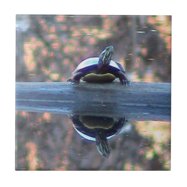 Sköldpaddan reflekterade dekorativt belägger med kakelplatta (Framsidan)