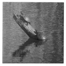 Sköldpaddan Time tajmar bläck två som keramiska