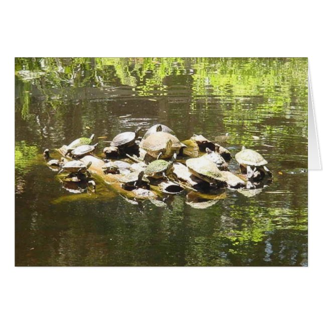 sköldpaddanätverkande hälsningskort (Framsidan Horizontal)
