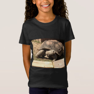 sköldpaddaskjorta t shirt