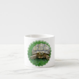 SköldpaddaSpecialtymugg Espressomugg