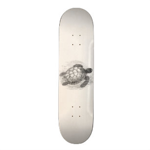 Sköldpaddor för flotta för personlig för mini skateboard bräda 18,7 cm