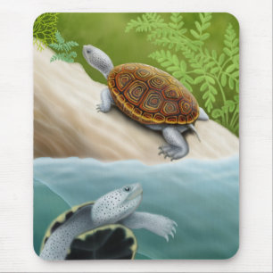 Sköldpaddor Mousepad för DiamondbackTerrapin Musmatta