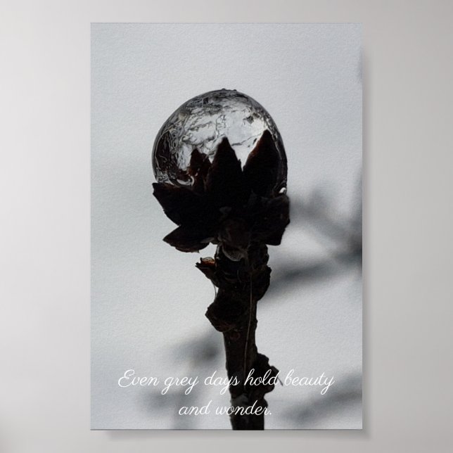 Sköldpaddor och  frysta regndroppar poster (Framsidan)