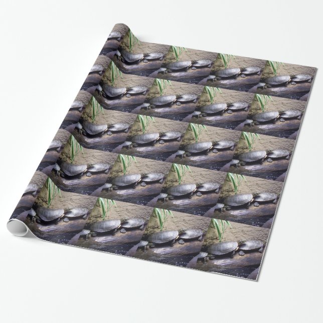 Sköldpaddor Presentpapper (Utrullad)
