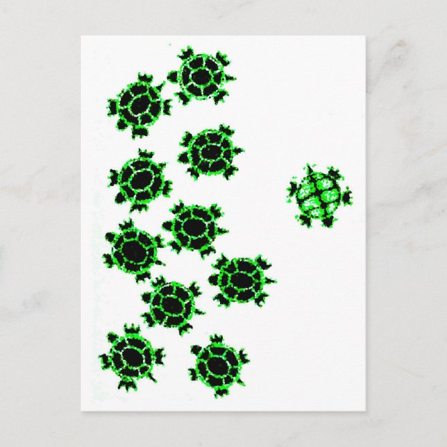 Sköldpaddor Vykort (Framsida)