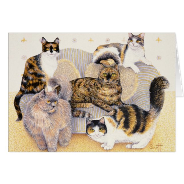 Sköldpadds- damer hälsningskort (Framsidan Horizontal)