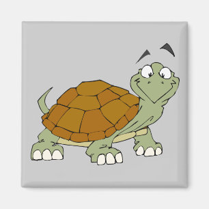 Sköldpadds Magnet