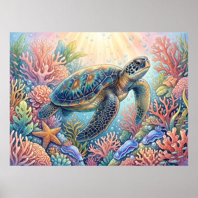 Sköldpaddsillustration Poster (Framsidan)