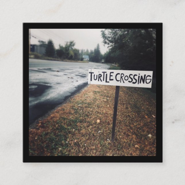 sköldpaddskorsning fyrkantigt visitkort (Framsida)