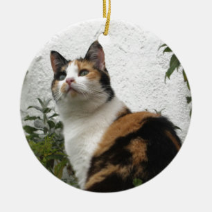 Sköldpaddsskal- och vitkatt julgransprydnad keramik