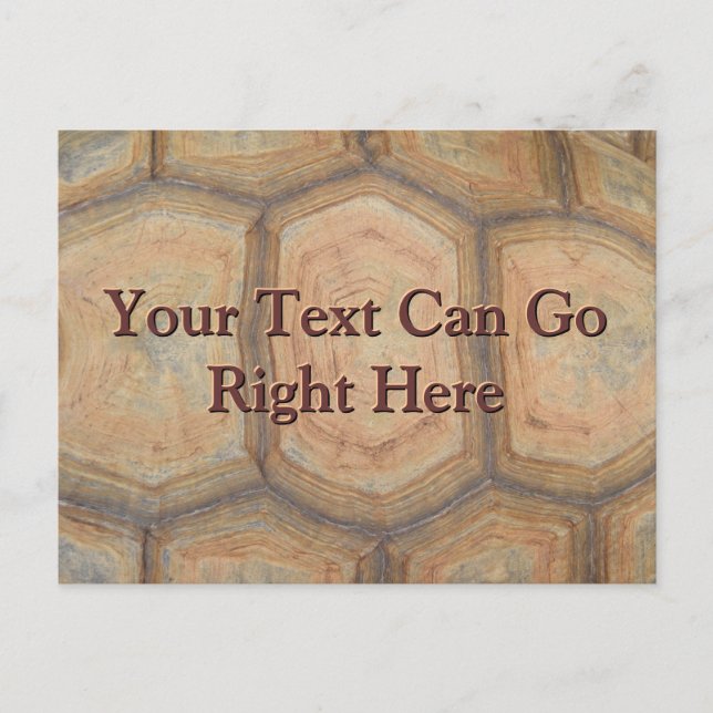 Sköldpaddsskal vykort (Framsida)