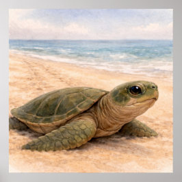 Sköldpaddsstrand poster