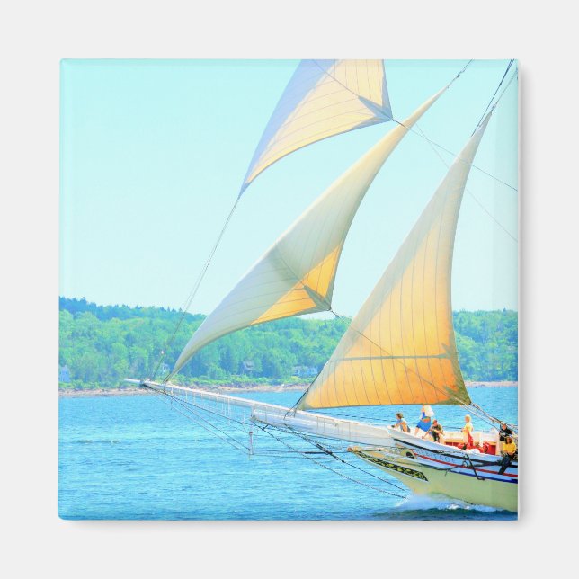 Skoljibon Magnet (Framsidan)