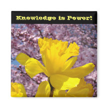 Skollås magneter Kunskap är Power!