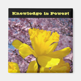 Skollås magneter Kunskap är Power!