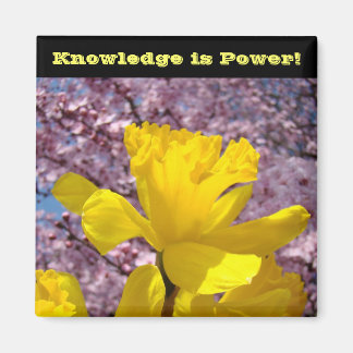 Skollås magneter Kunskap är Power!