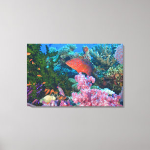 skolning Fairy Basslets (Pseudanthias Canvastryck